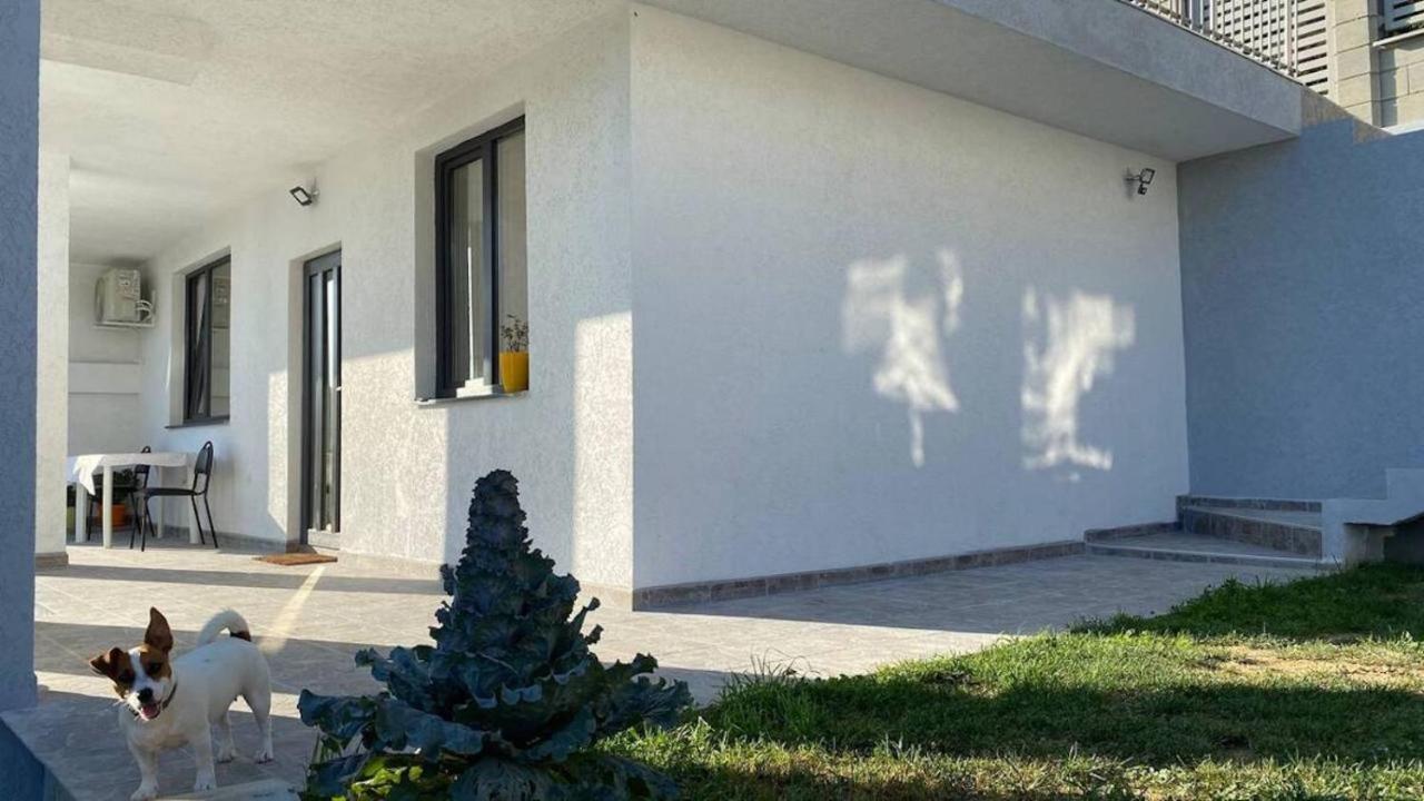 Lola Seaview Guest House. Уютный Домик В Варне Varna Exteriér fotografie